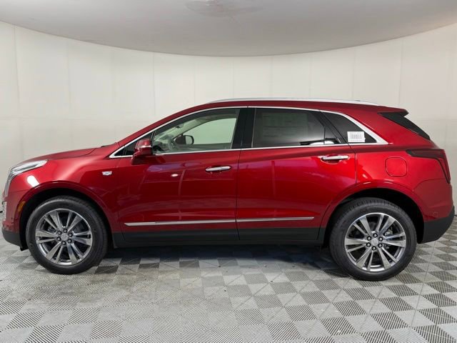2025 Cadillac XT5 Premium Luxury photo 3