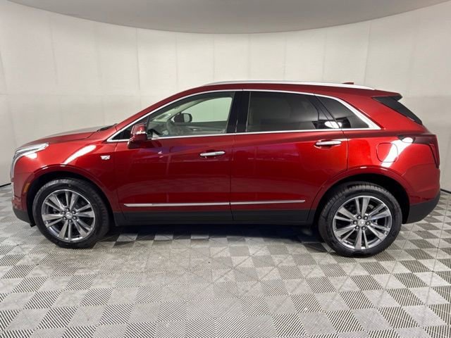 2025 Cadillac XT5 Premium Luxury photo 2