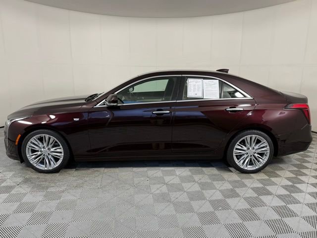 2022 Cadillac CT4 Premium Luxury photo 3