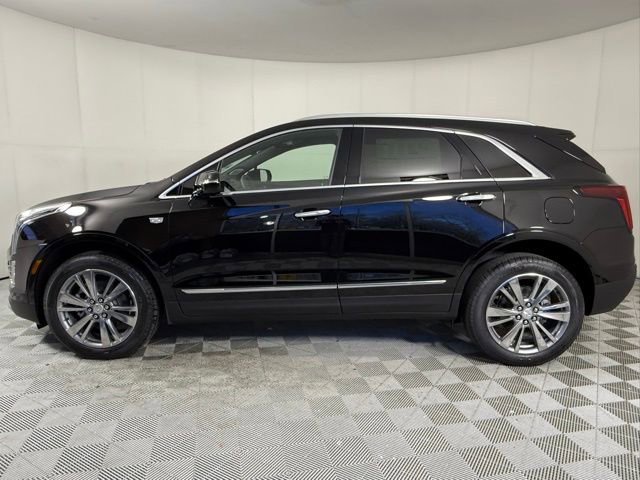 2025 Cadillac XT5 Premium Luxury photo 3