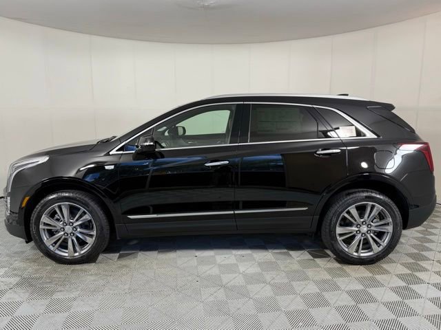 2025 Cadillac XT5 Premium Luxury photo 2