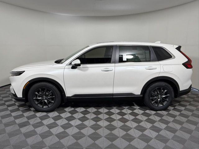 2026 Honda CR-V EX-L photo 3