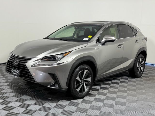 2019 Lexus NX 300 Luxury photo 2