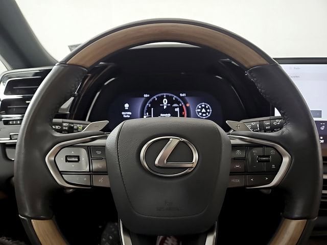 2025 Lexus RX 350 - Photo 21