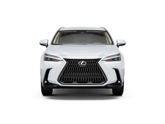2026 Lexus NX 350h photo 3