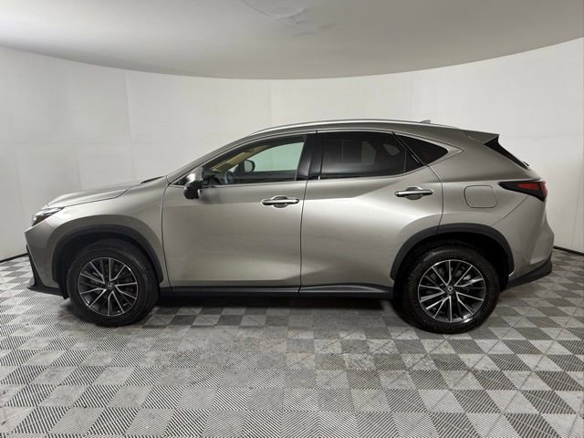 2025 Lexus NX 250 Premium photo 2