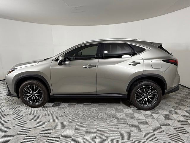 2024 Lexus NX 350h Premium photo 2