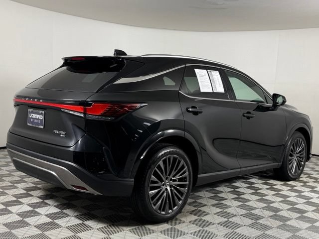 2024 Lexus RX 350 - Photo 9
