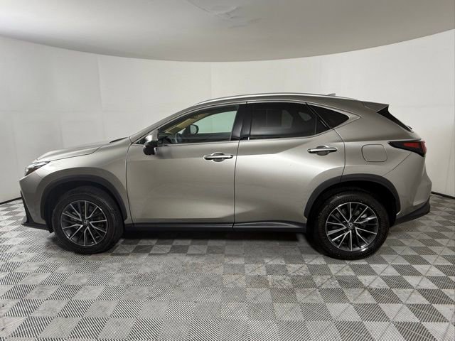 2025 Lexus NX 250 Premium photo 2