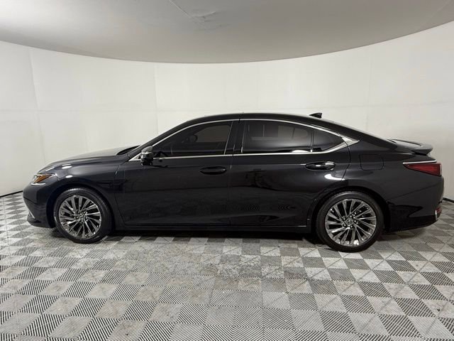 2025 Lexus ES 300h Luxury photo 2