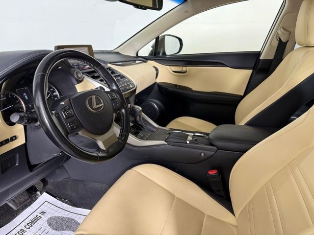 2019 Lexus NX 300 Luxury photo 4