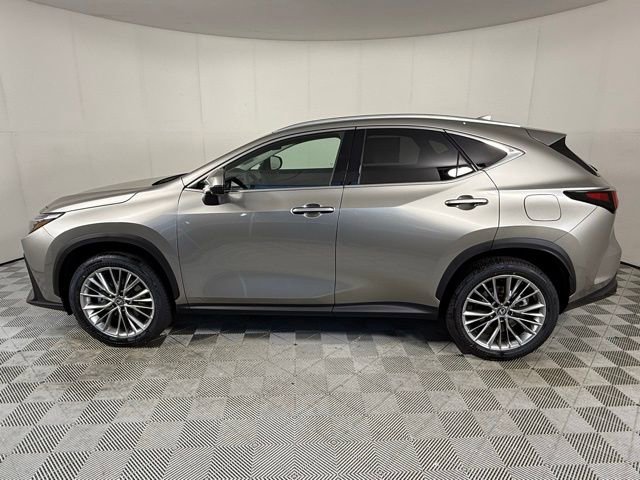 2026 Lexus NX 350 Luxury AWD photo 2