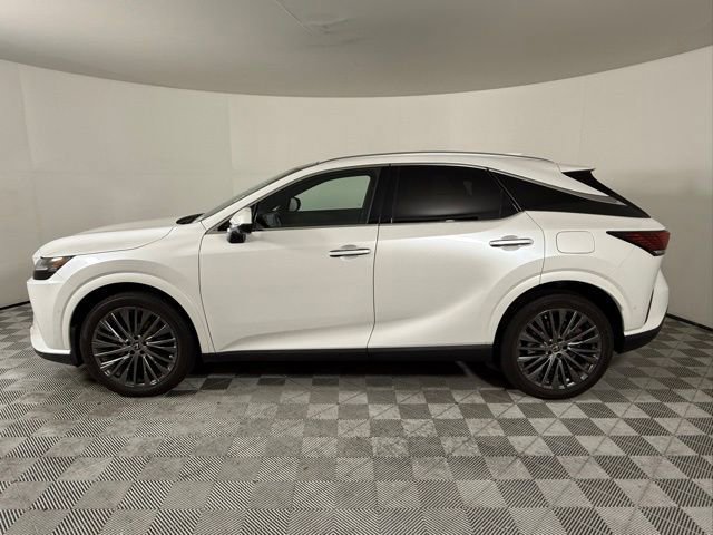 2023 Lexus RX 350h Luxury photo 2