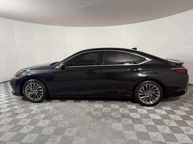 2025 Lexus ES 300h Luxury photo 2