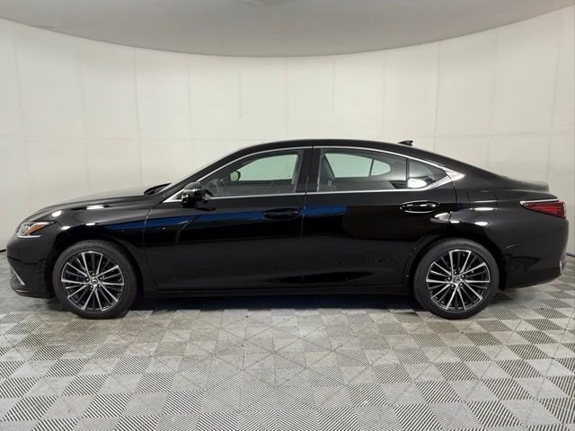 2024 Lexus ES 250 Luxury photo 2