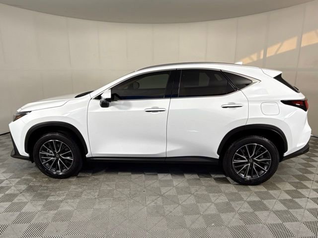 2026 Lexus NX 450h+ Luxury photo 2