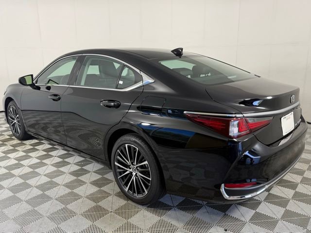 2024 Lexus ES 250 Luxury photo 3