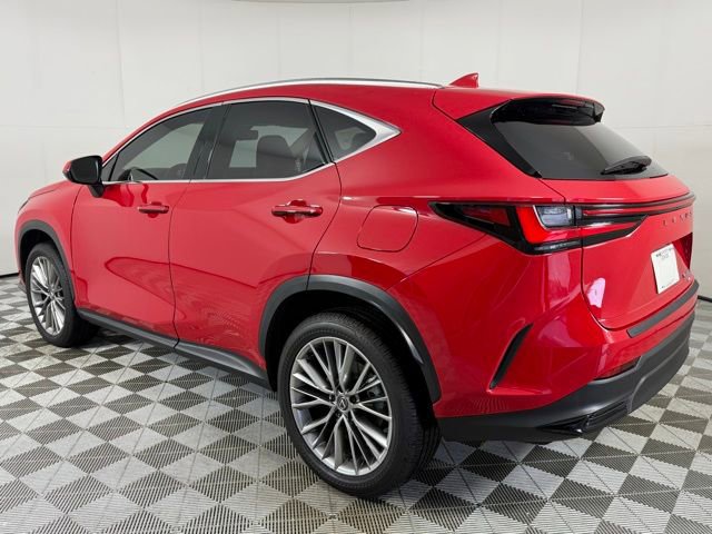 2025 Lexus NX 350h Premium photo 4