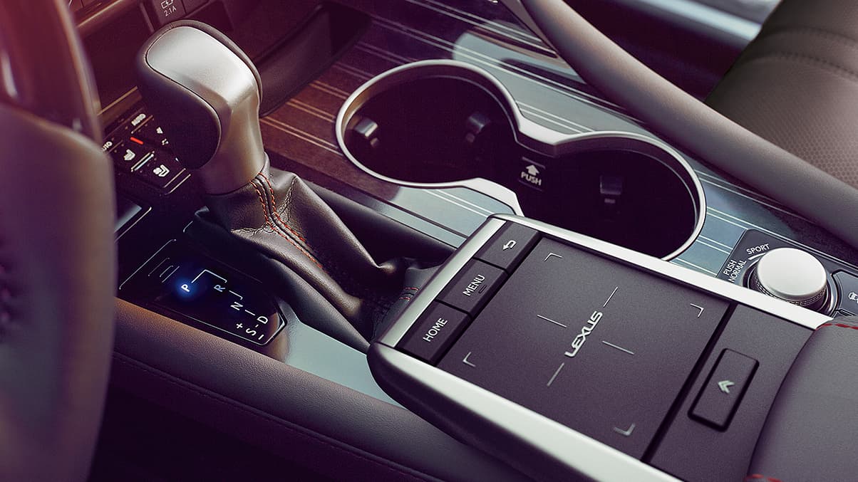 2020 Lexus RX Console