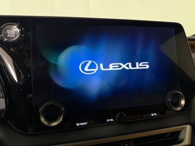 2024 Lexus RX 350 - Photo 16