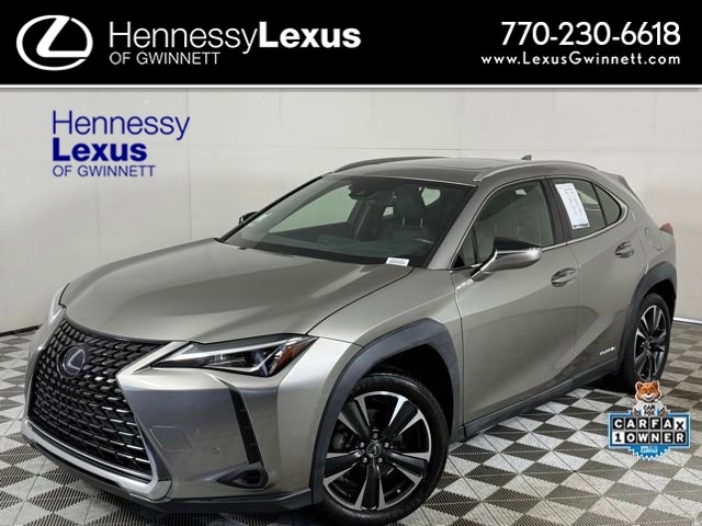 2021 Lexus UX 300h 250h AWD's photo