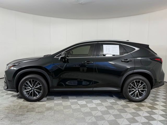 2025 Lexus NX 250 Premium photo 2