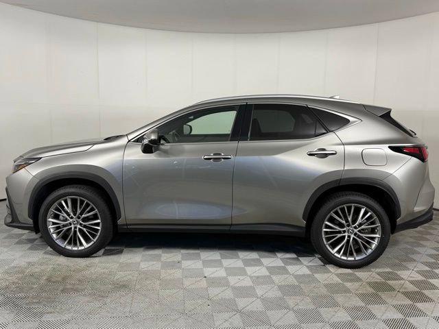 2023 Lexus NX 350 Luxury photo 2