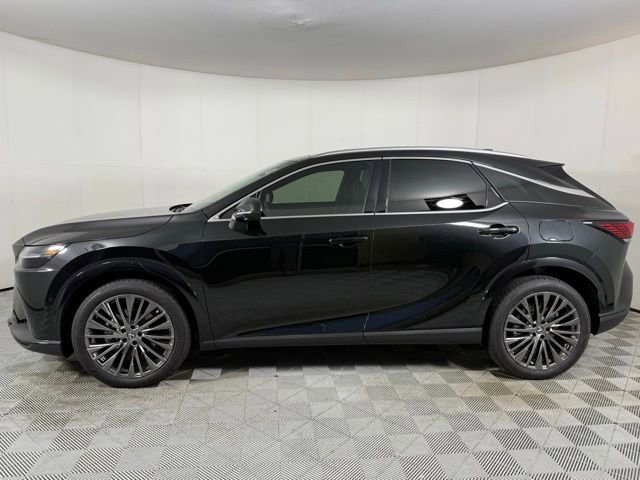 2025 Lexus RX 350 Luxury photo 2