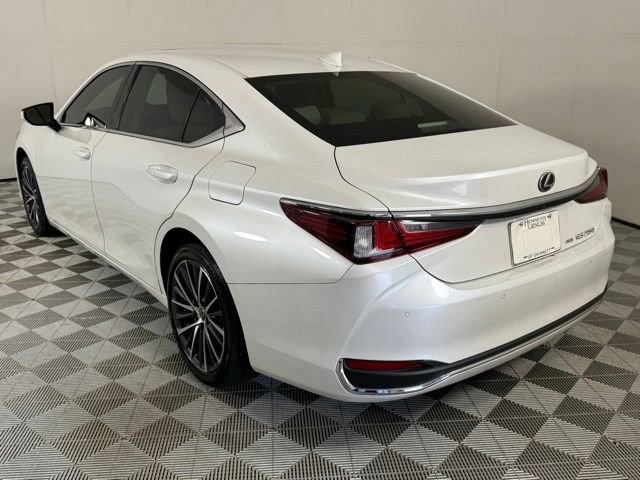 2024 Lexus ES 250 Luxury photo 2