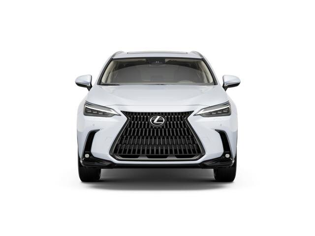 2026 Lexus NX Luxury AWD photo 3