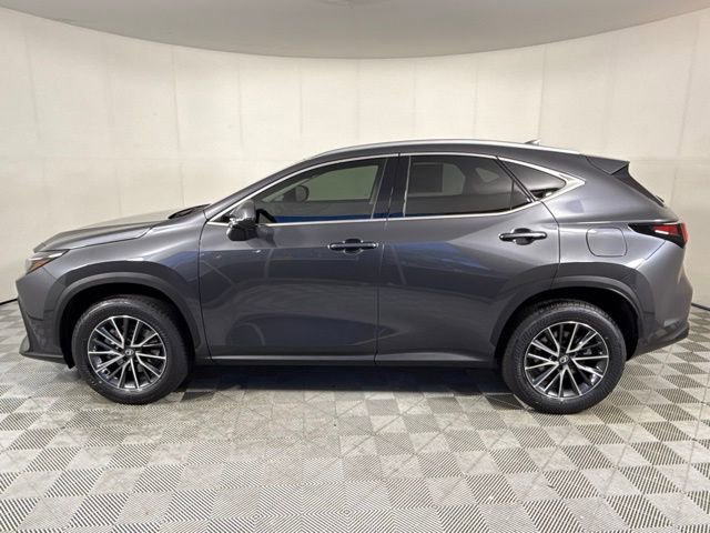 2026 Lexus NX 350 AWD photo 2