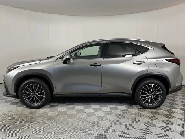 2024 Lexus NX 350h Premium photo 2
