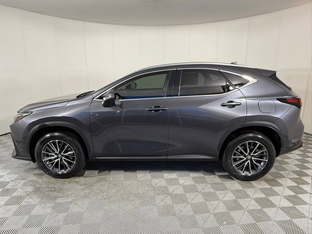 2026 Lexus NX 350 AWD photo 2