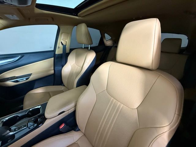 2024 Lexus NX 350h photo 3