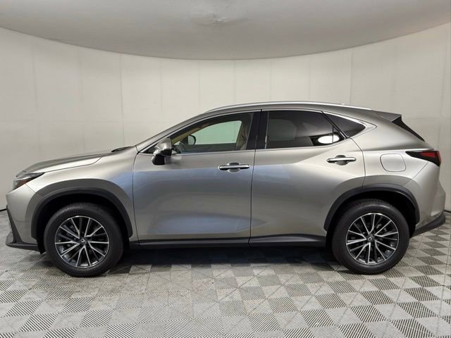 2025 Lexus NX 250 Premium photo 2