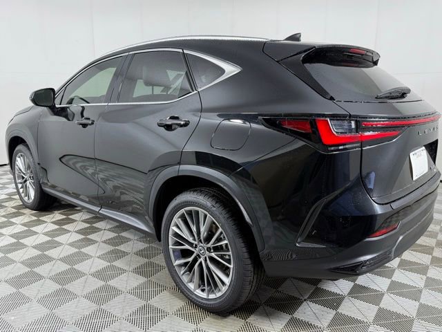 2026 Lexus NX 350 Luxury photo 3