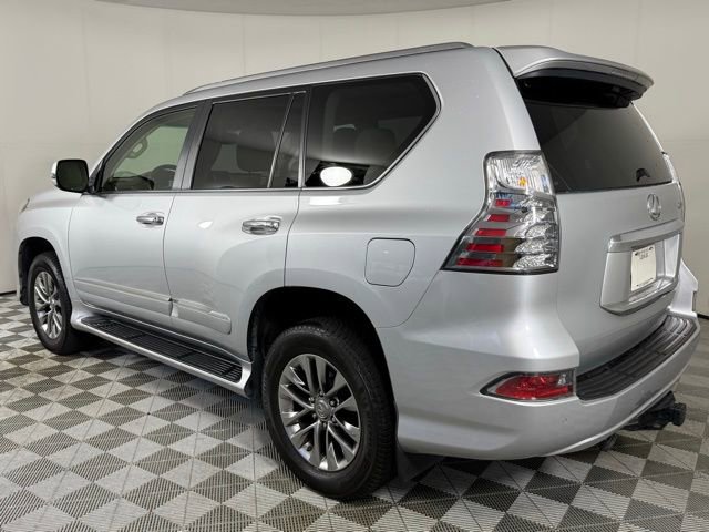 2017 Lexus GX 460 Luxury photo 3