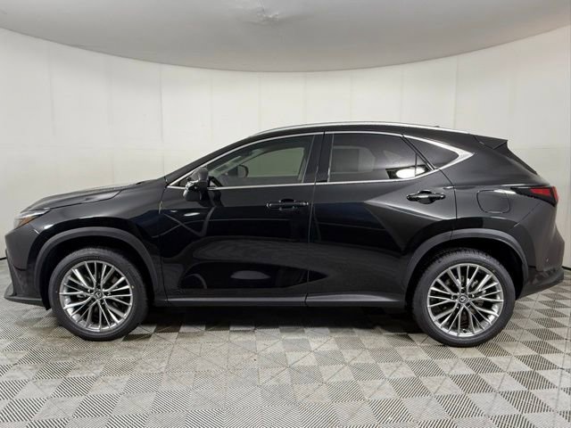 2026 Lexus NX 350 Luxury photo 2
