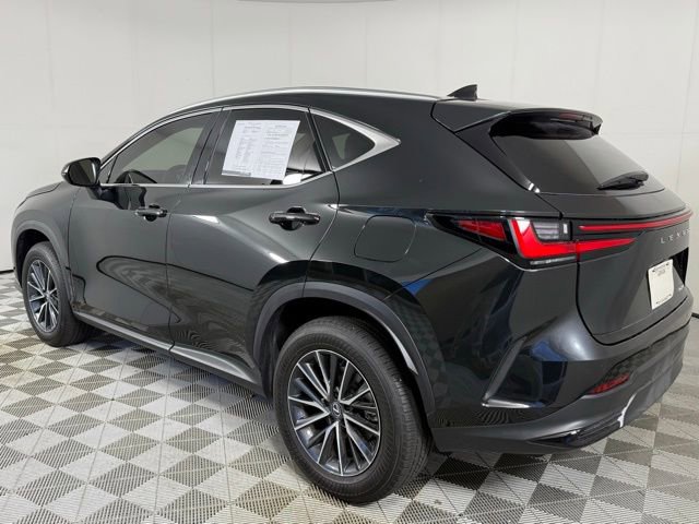 2025 Lexus NX 250 Premium photo 3