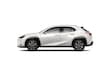 LEXUS UX 300h