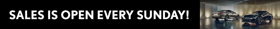 sales-open-sunday-banner-jan-2020.jpg