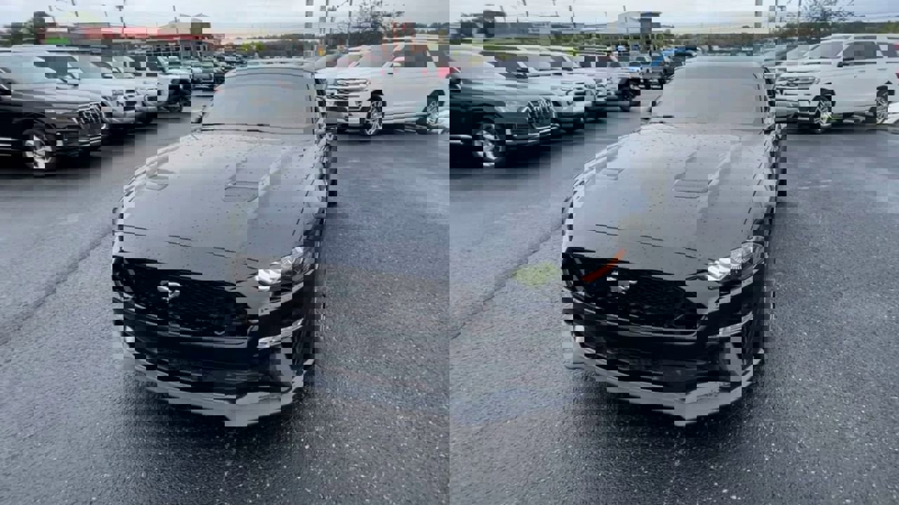 2020 Ford Mustang GT Premium photo 4