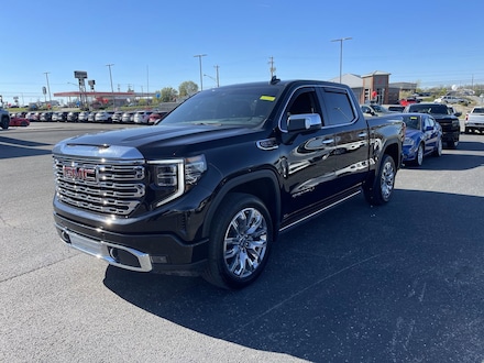 2025 GMC Sierra 1500 Denali Truck