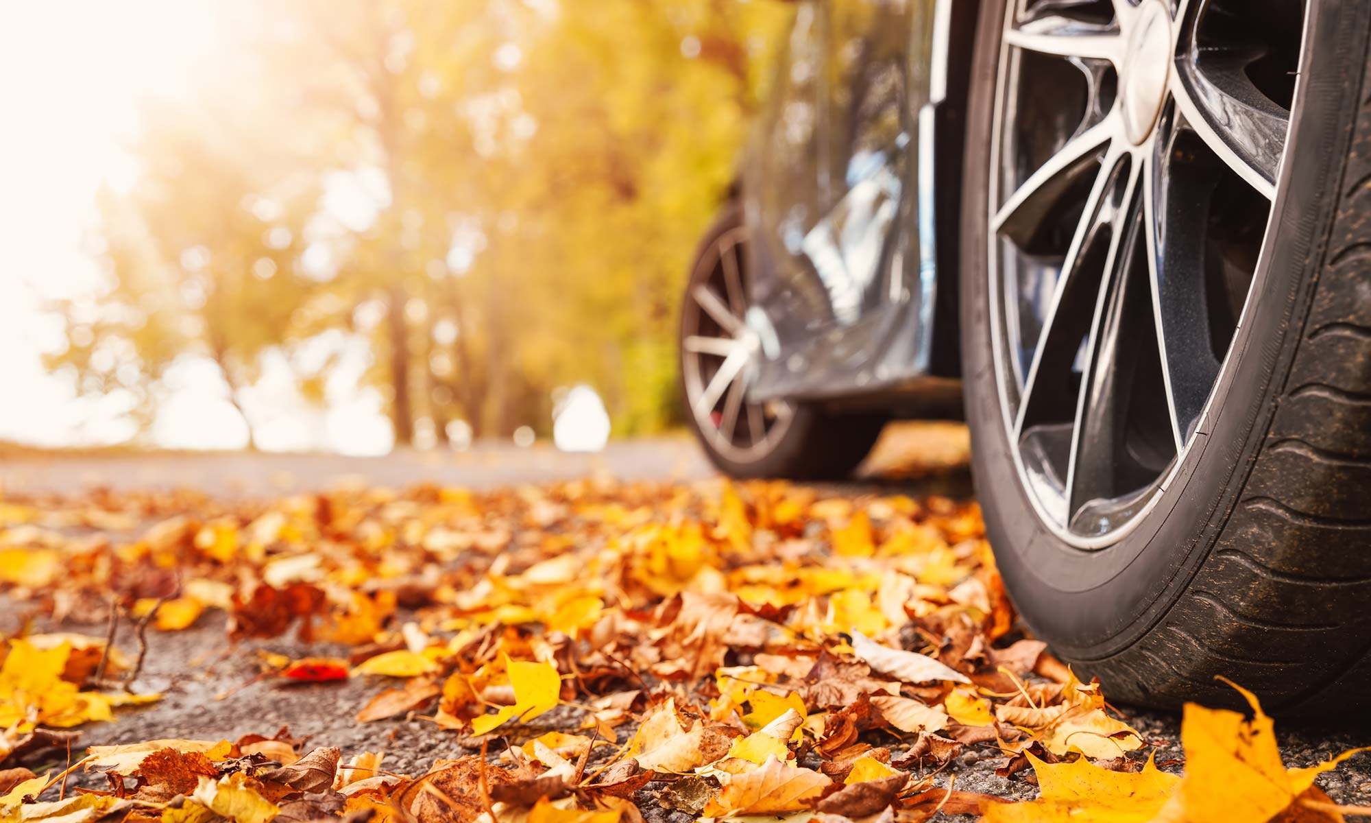 Fall-Vehicle.jpg