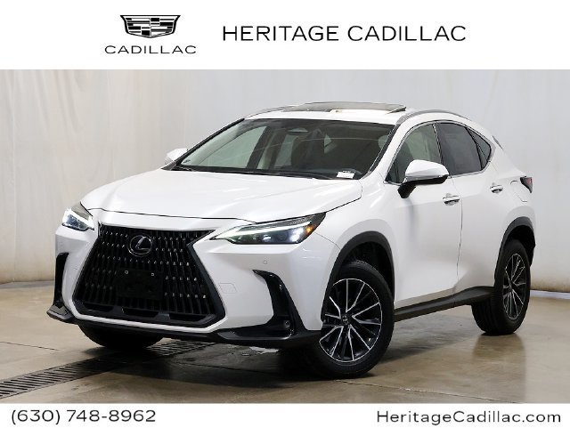 2024 Lexus NX