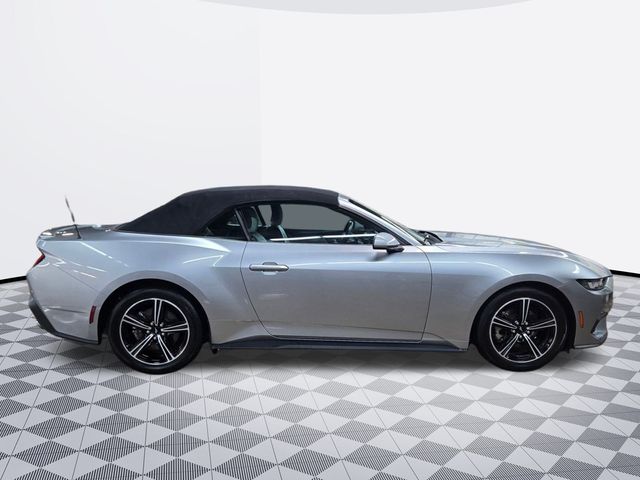 2024 Ford Mustang EcoBoost Premium Convertible photo 4