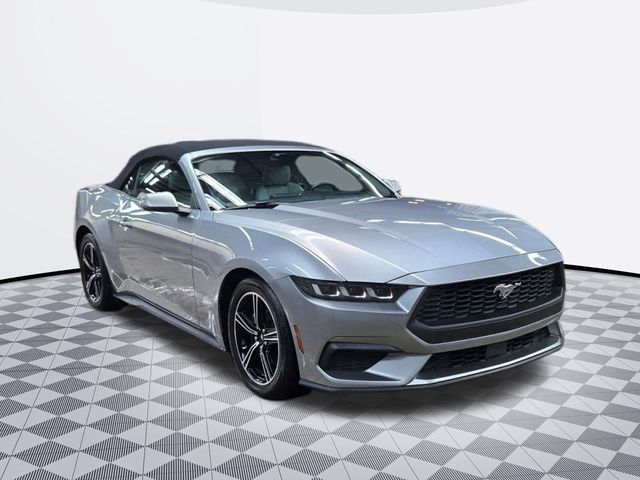 2024 Ford Mustang EcoBoost Premium Convertible photo 3