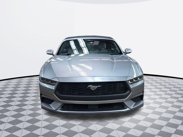 2024 Ford Mustang EcoBoost Premium Convertible photo 2