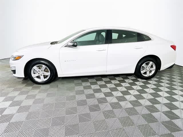 2024 Chevrolet Malibu 1LT photo 4