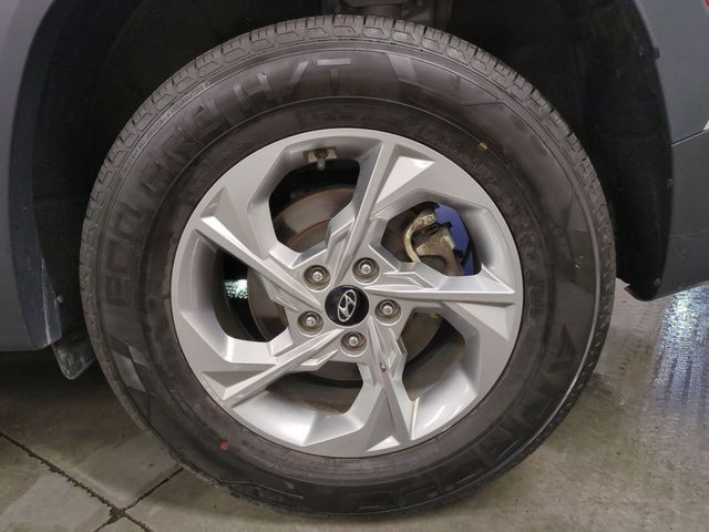 Photo 21